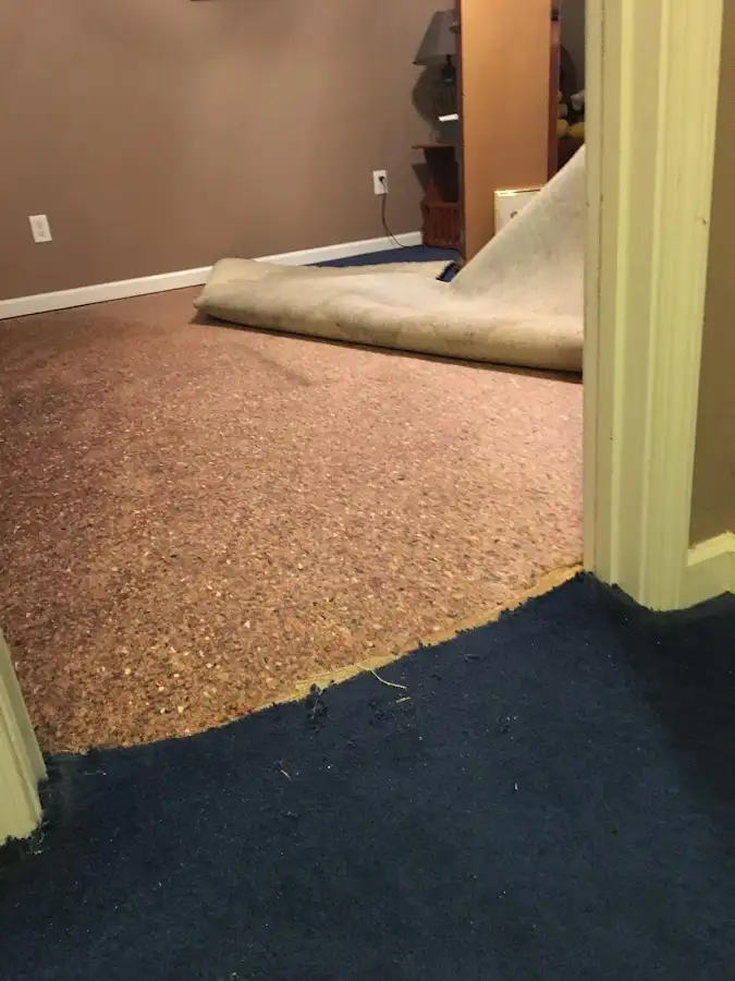 Carpet pad removal revealing water damage during Water Mitigation Services in Socorro